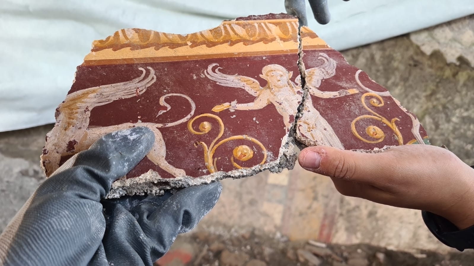 castellammare_villa-san-marco_Frammenti della decorazione del peristilio (portico colonnato) superiore _10_foto-parco-archeologico-pompei