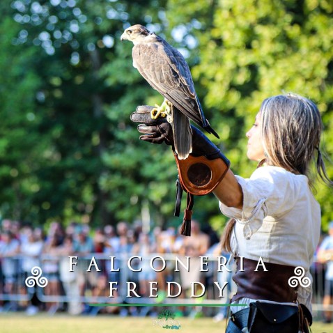 cesenatico_druidia_falconeria_foto-druidia-festival