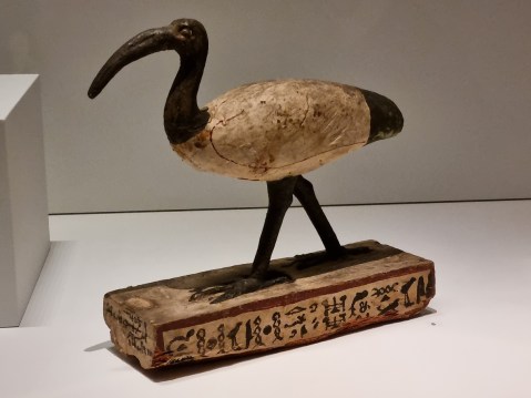 torino_egizio_mostra-il-dono-di-thot_statuetta-di-thot-ibis_foto-graziano-tavan