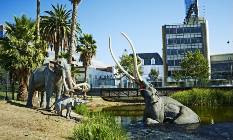 california_la-brea-tar-pits-museum_foto-la-brea-tar-pits