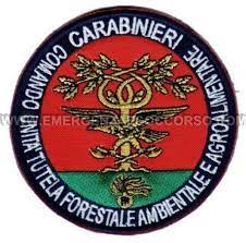 carabinieri_comando-unità-forestali-ambientali-e-agroalimentari_CUFAA_logo