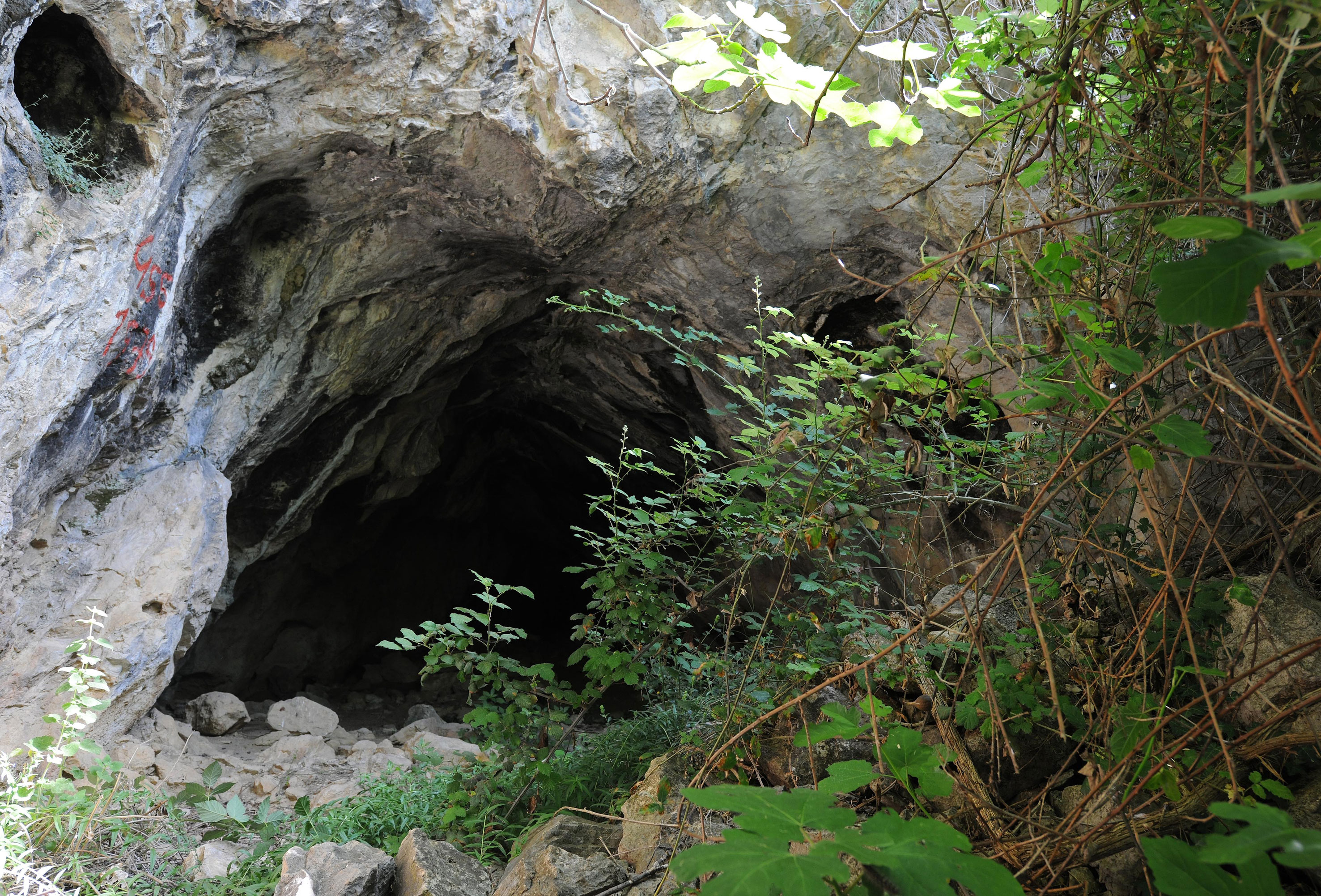 san-lorenzo-bellizzi_grotta-pietra-sant-angelo_ingresso-prima-degli-scavi_foto-centro-enzo-dei-medici