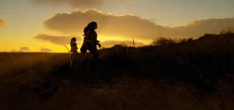 film-Neanderthal-sulle-tracce-di-un-altra-umanità_di-David-Geoffroy