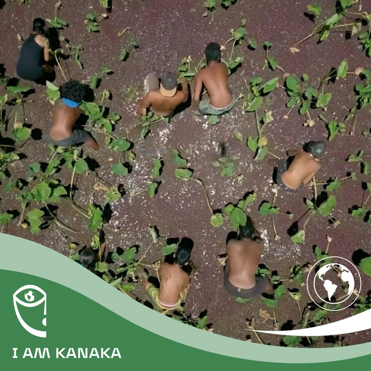 film_i-am-kanaka_di-Genevieve-Sulway