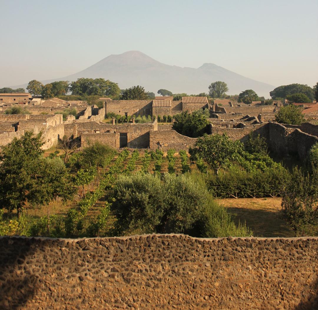 pompei_parco_orto-dei-fuggiaschi_oliveto_foto-parco-archeologico-pompei