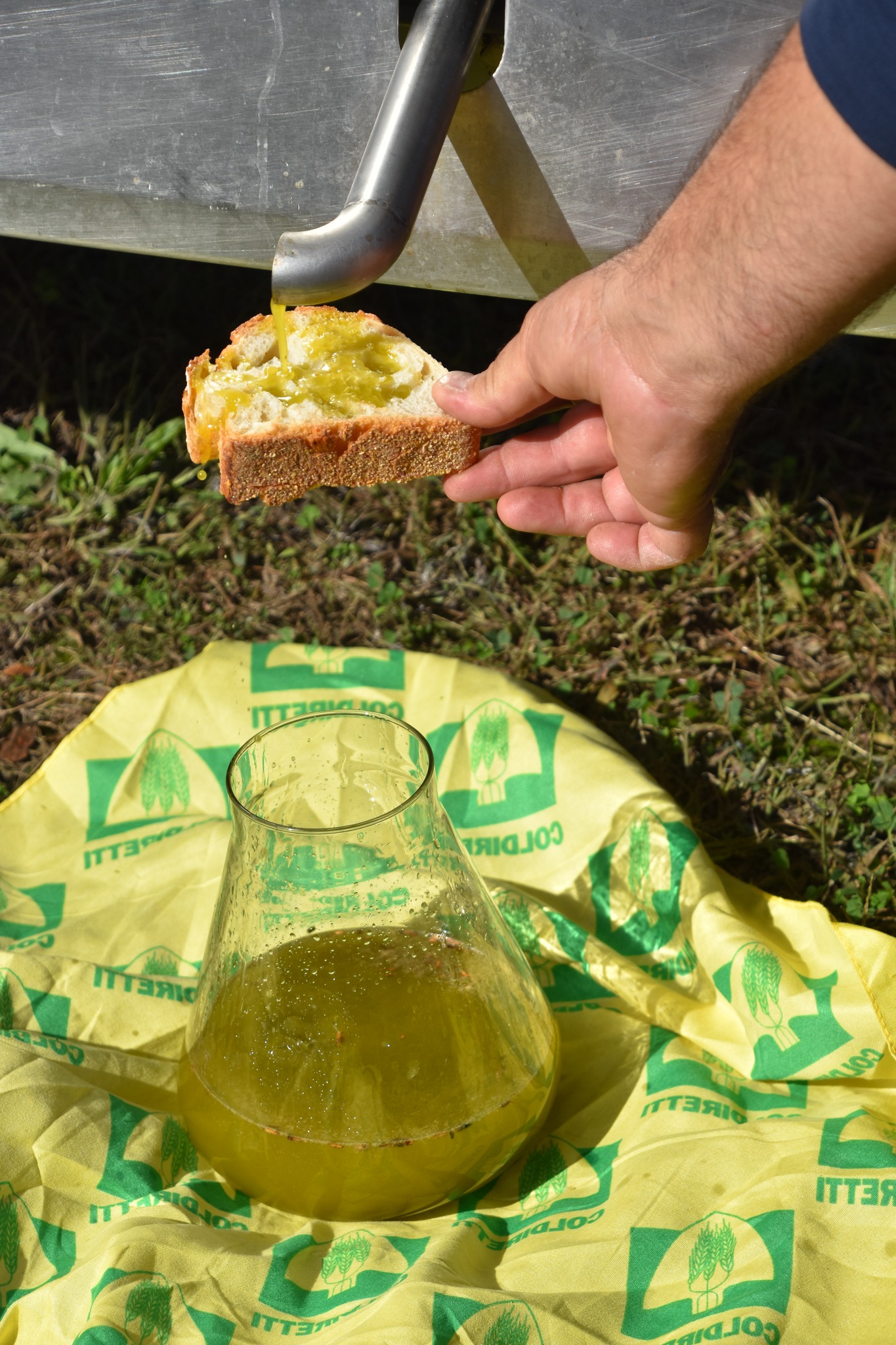 pompei_parco_PÙMPAIIA_olio-igp_degustazioni_foto-parco-archeologico-pompei