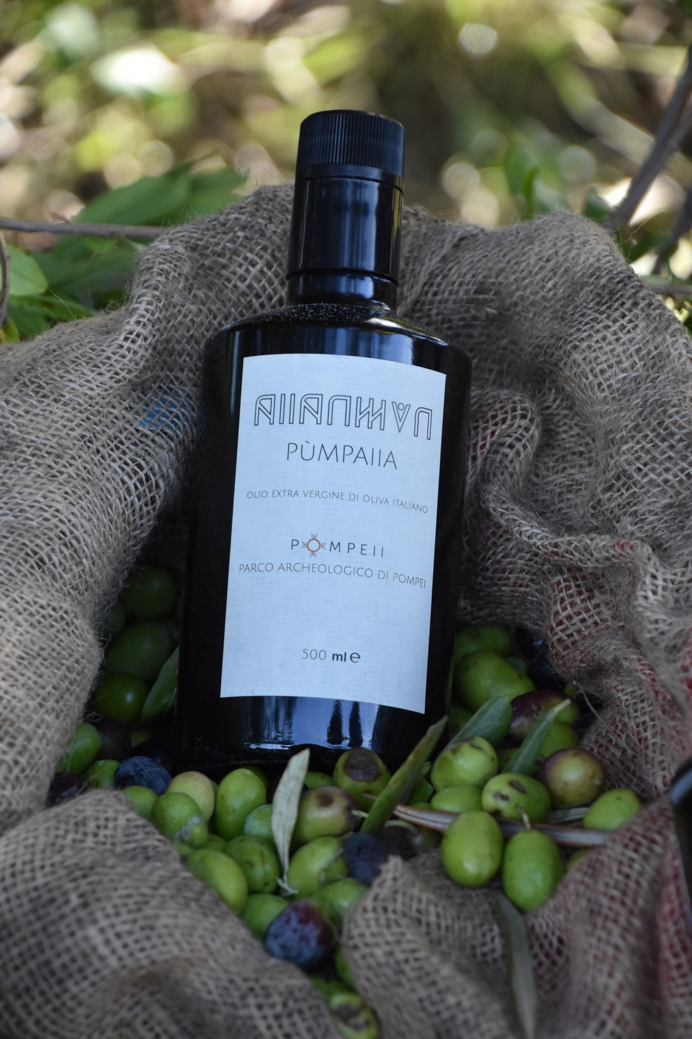 pompei_parco_PÙMPAIIA_olio-igp_foto-parco-archeologico-pompei