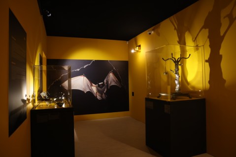 roma_capitolini_villa-caffarelli_mostra-nuova-luce-da-pompei-a-roma_sala-della-notte_foto-roma-capitale