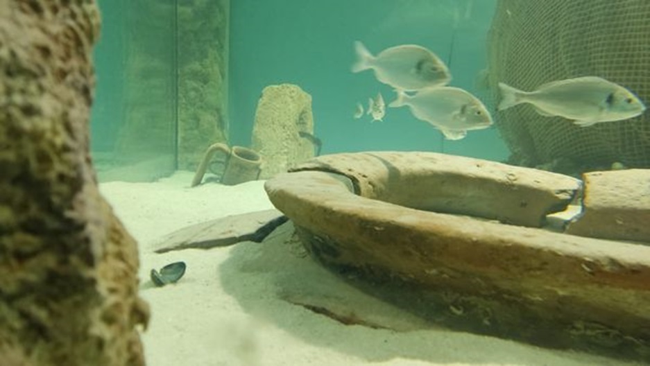 egnazia_archeologico_egnazia-e-il-mare_acquario-3_foto-drm-puglia