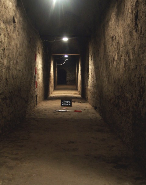 Ercolano_insula orientalis II_canale-fognario_foto-hcp