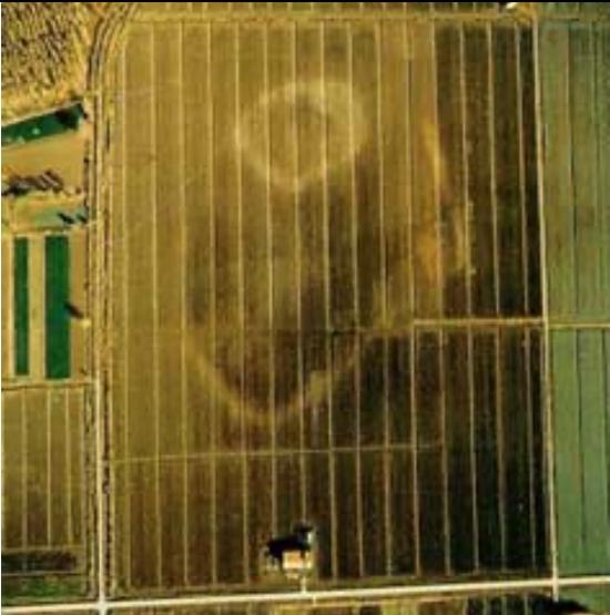 poviglio_terramara-santa-rosa_foto-uni-mi