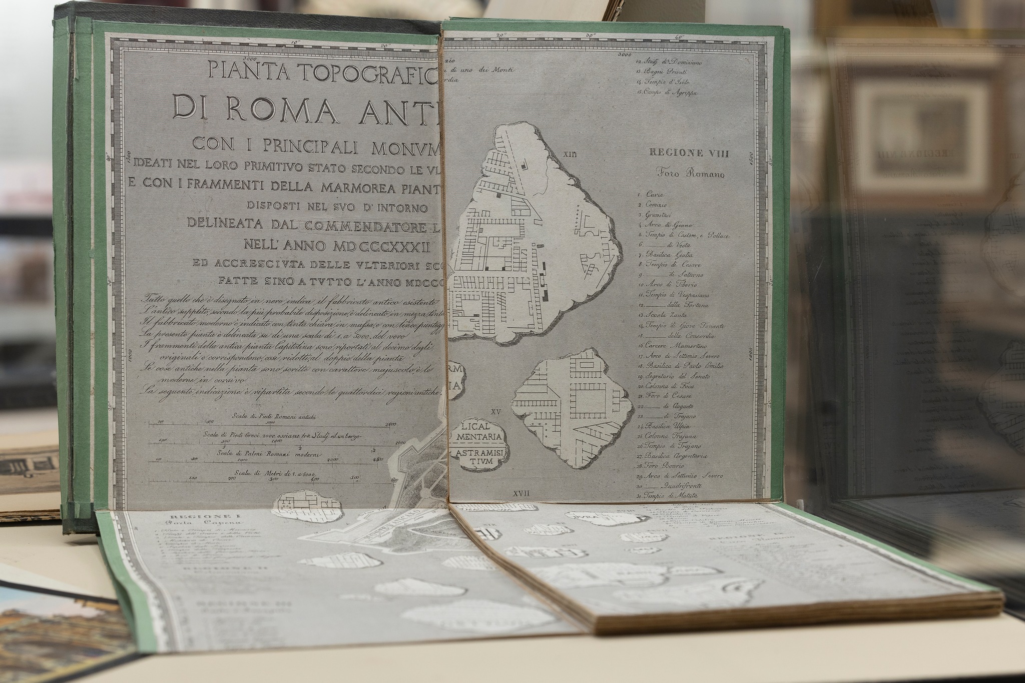 roma_foro-romano_tempio-di-romolo_mostra-lo-sguardo-del-tempo_pianta-roma-antica_foto-simona-murrone