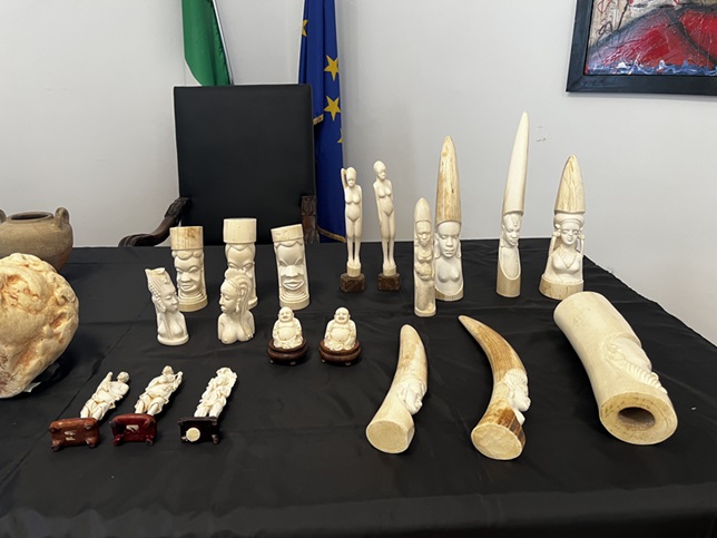 napoli_sabap-met_oggetti-in-avorio-sequestrati-dai-carabinieri-nucleo-TPC_foto-sabap-met-na