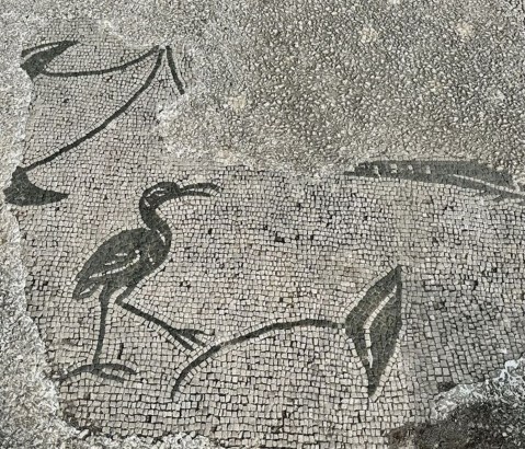 ostia-antica_parco_serapeum_mosaico-nilotico_foto-parco-ostia-antica