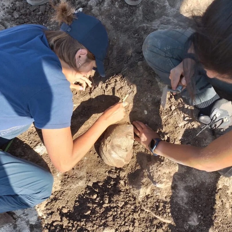 tarquinia_località-pian-d-arcione_scavi-archeologia-preventiva_foto-sabap-vt-em