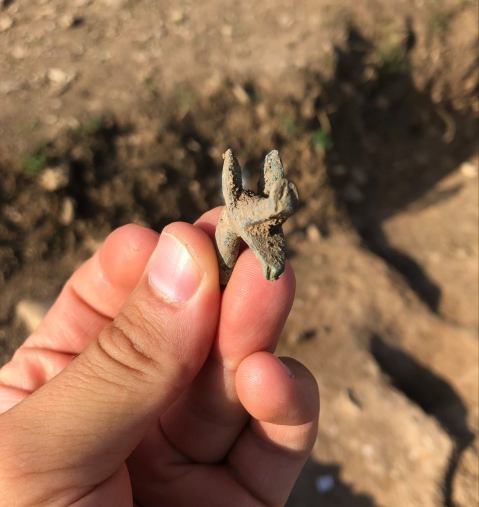 urbania_area-la-cantinaccia_tumuli-preromani_testina-animale-in-bronzo-foto-sabap-an-pu