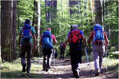 calabria_sentiero-del-brigante_mappa-del-percorso_escursionisti_foto-mic