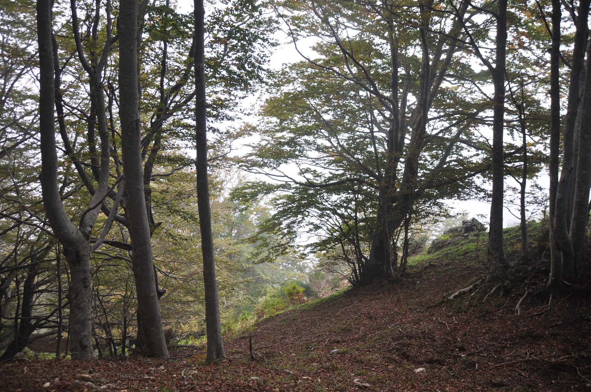 calabria_sentiero-del-brigante_mappa-del-percorso_paesaggio_foto-mic