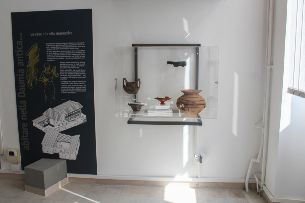 casalnuovo-montenotaro_palazzo-della-cultura_esposizione-archeologica_allestimento_foto-uni-fg_sabap