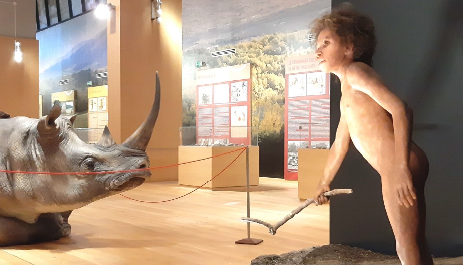 isernia_museo-del-paleolitico_nuovo-allestimento_foto-mic