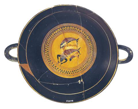 roma_villa-giulia_mostra-Spina etrusca a Villa Giulia-Un grande porto nel Mediterraneo_coppa-con-delfini_foto-etru