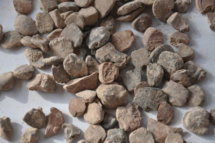 turchia_missione-unipi_doliche_bullae_impressioni-su-argilla_foto-unipi