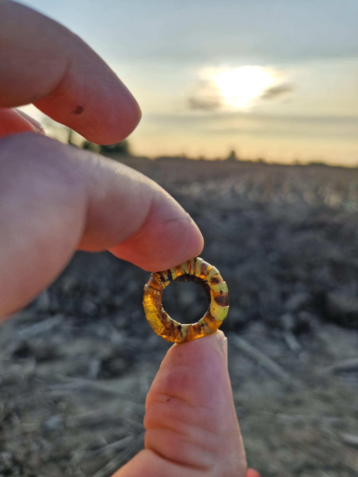 casalromano_mn_necropoli-tarda-età-del-ferro_ciondolo_foto-sabap-cr-mn-lo