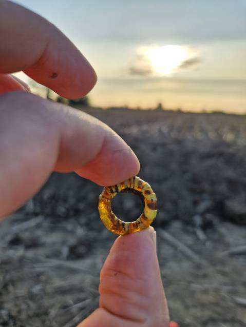 casalromano_mn_necropoli-tarda-età-del-ferro_ciondolo_foto-sabap-cr-mn-lo