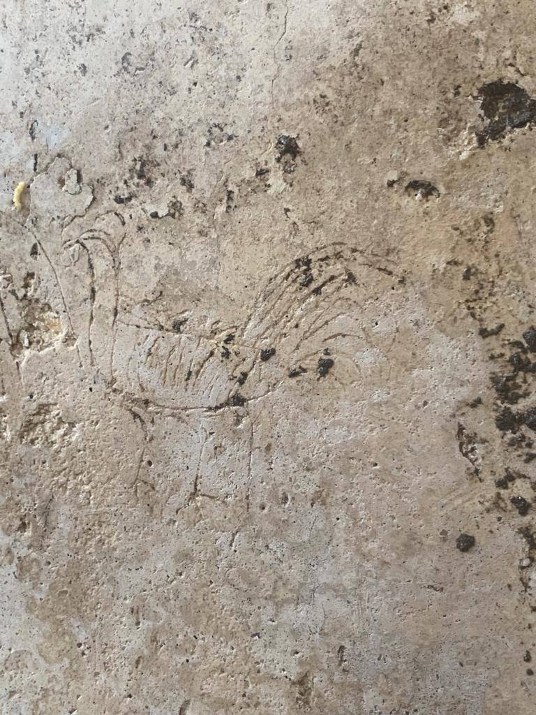 pompei_terme-foro-femminili_graffito-gallinella_foto-parco-archeologico-pompei