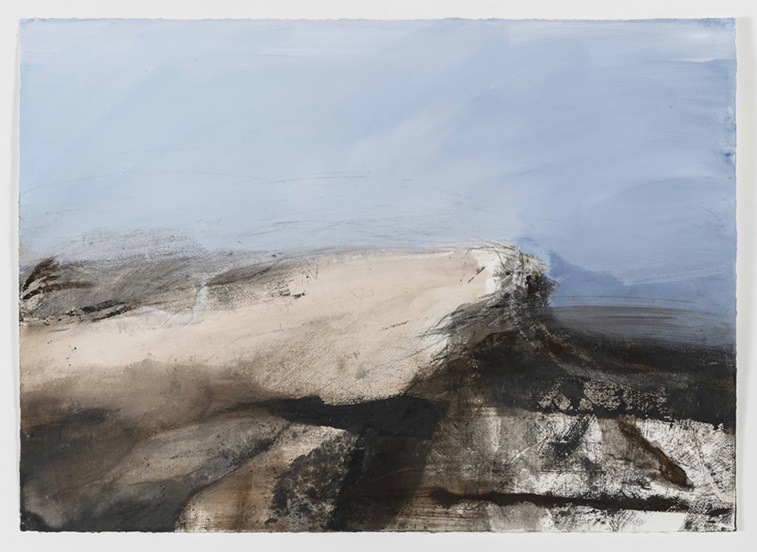 Giancarla Frare_07-2021-ST-china e pigmenti naturali su carta