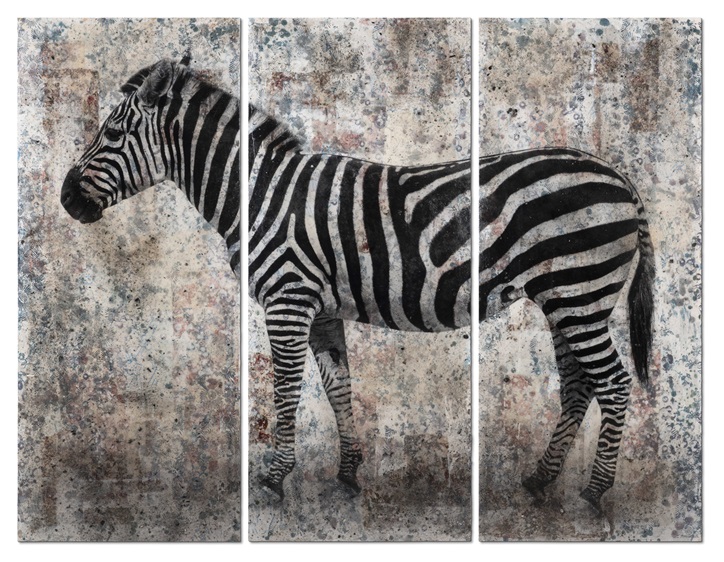 Manuel Felisi_Zebra_200x261