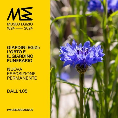 torino_egizio_giardini-egizi-l-orto-e-il-giardino-funerario_locandina