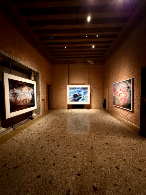 venezia_ligabue_mostra-futuroremoto_allestimento_foto-fondazione-ligabue.jpg