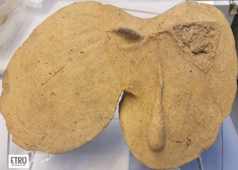 roma_villa-giulia_fegato-in-terracotta_falerii-veteres_foto-etru