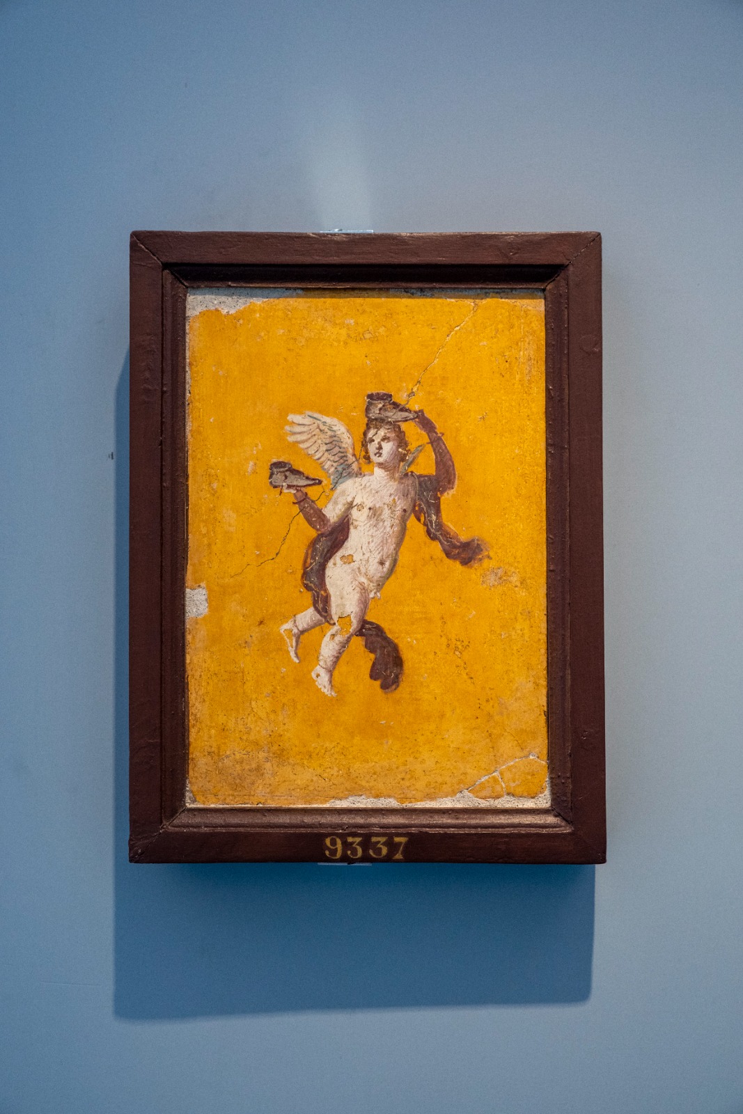 castellammare_archeologico_nuovi-reperti-dal-mann_affreschi_2_foto-parco-archeologico-pompei