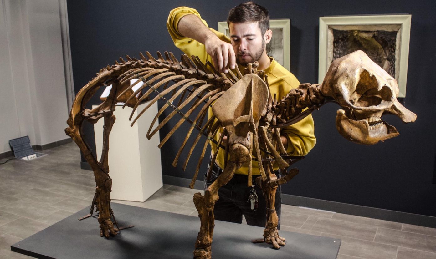 Dawid-Adam-Iurino_paleontologo