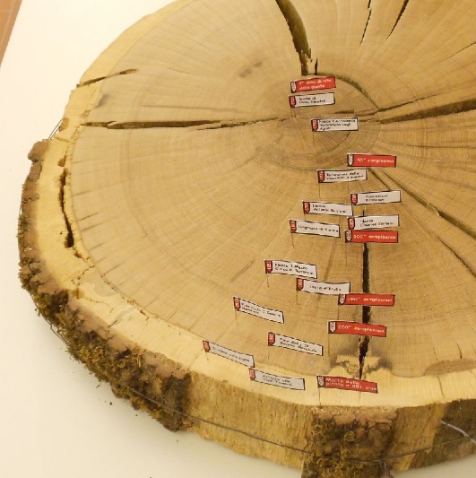 folgaria_aula-magna_progetto-di-ricerca-di-dendrocronologia_maria-ivana-pezzo_locandina