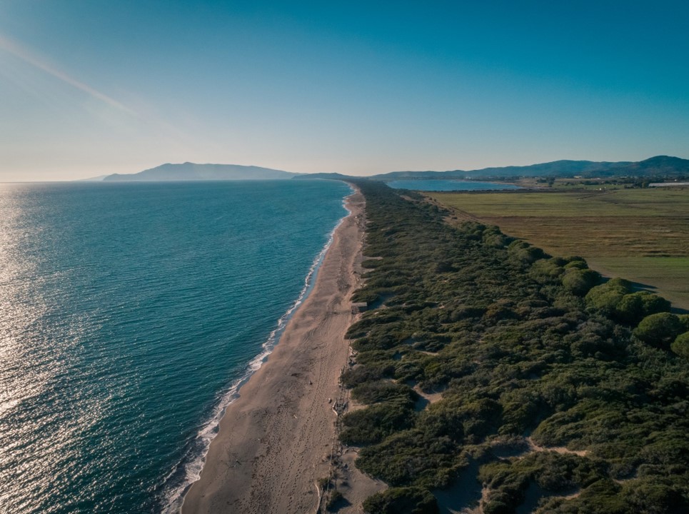 montalto-di-castro_murelle_costa-vulcente-1_foto-sabap-vt-etr-mer