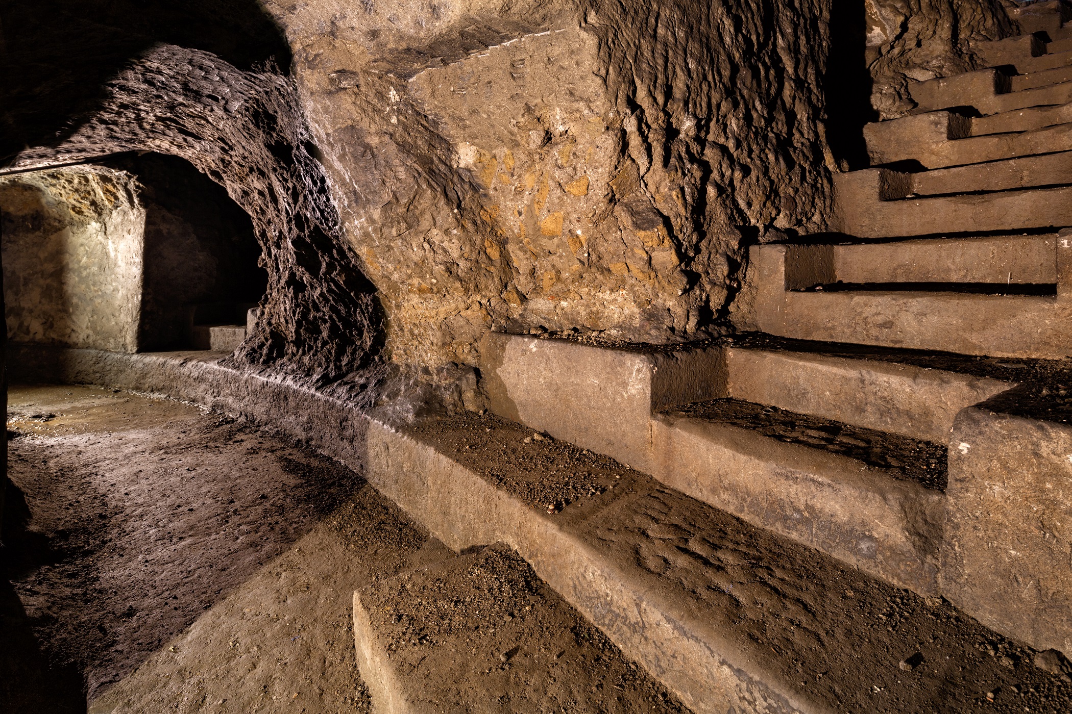 coperta da copyright