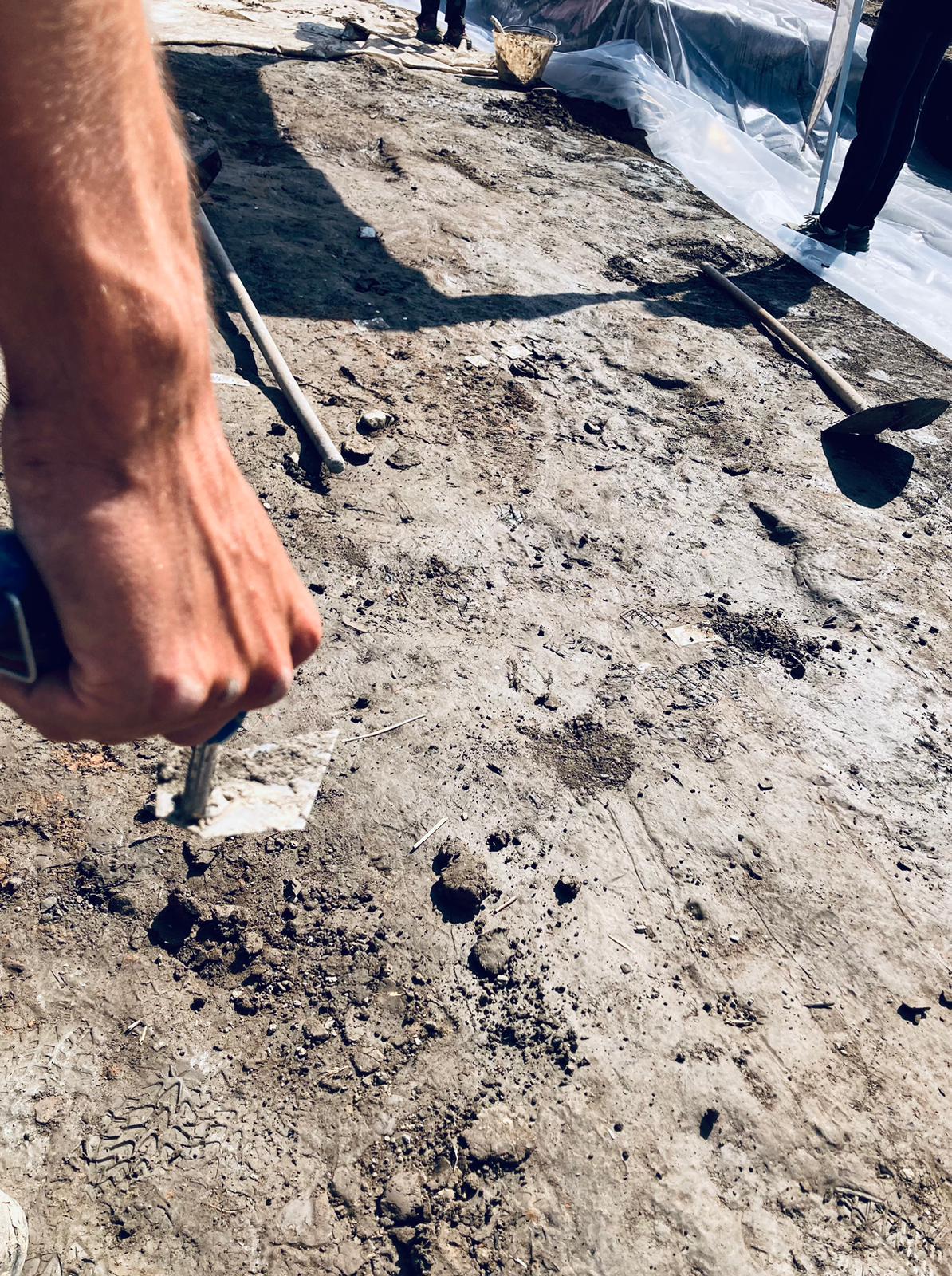 villamarzana_sito-protostorico_campagna-2024_54_foto-drm-veneto