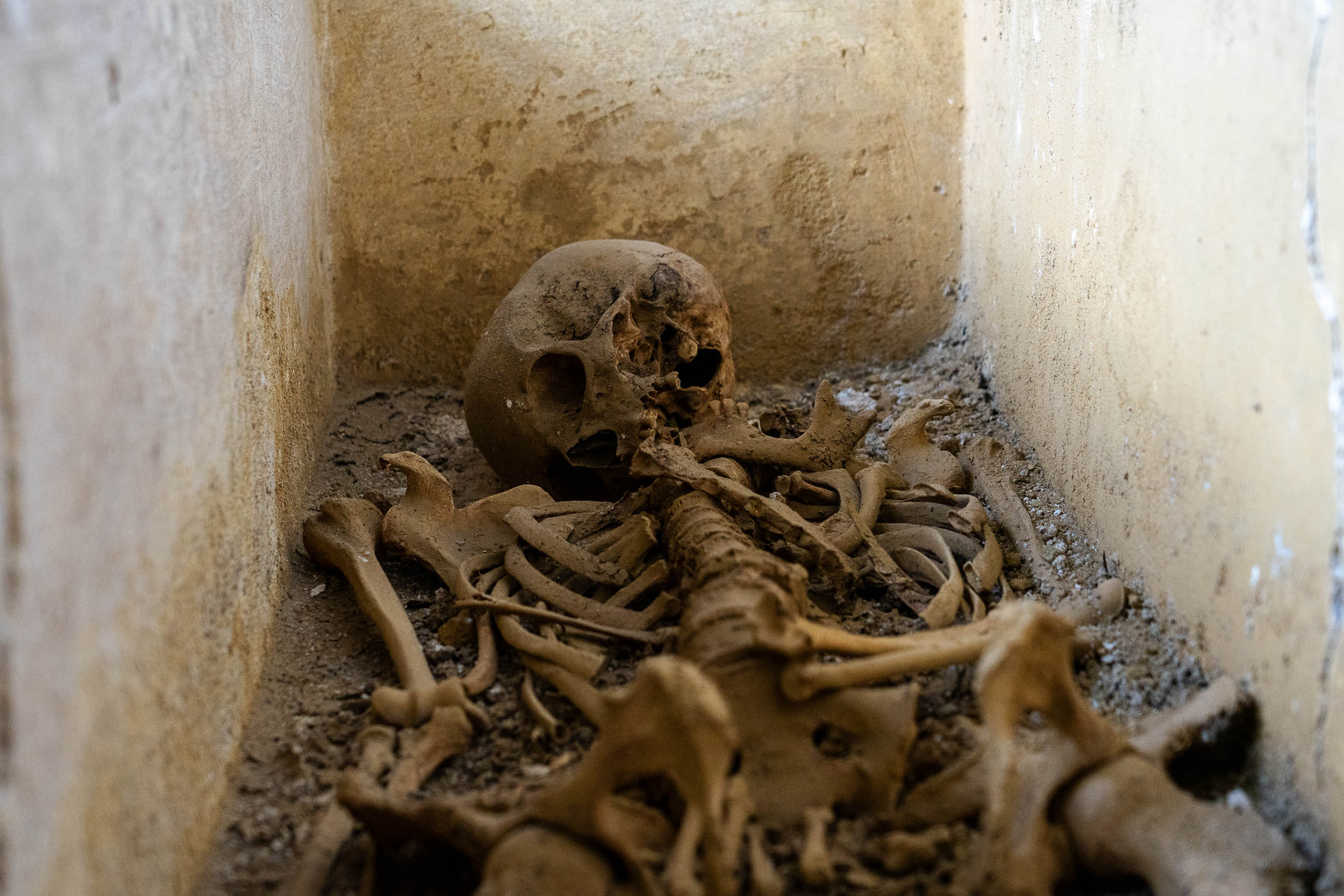 roma_TPC_sequestro-riconsegna-urne-e-sarcofagi-etruschi_da-Citta-Della-Pieve_scheletro-di-donna_foto-emanuele-antonio-minerva_tpc