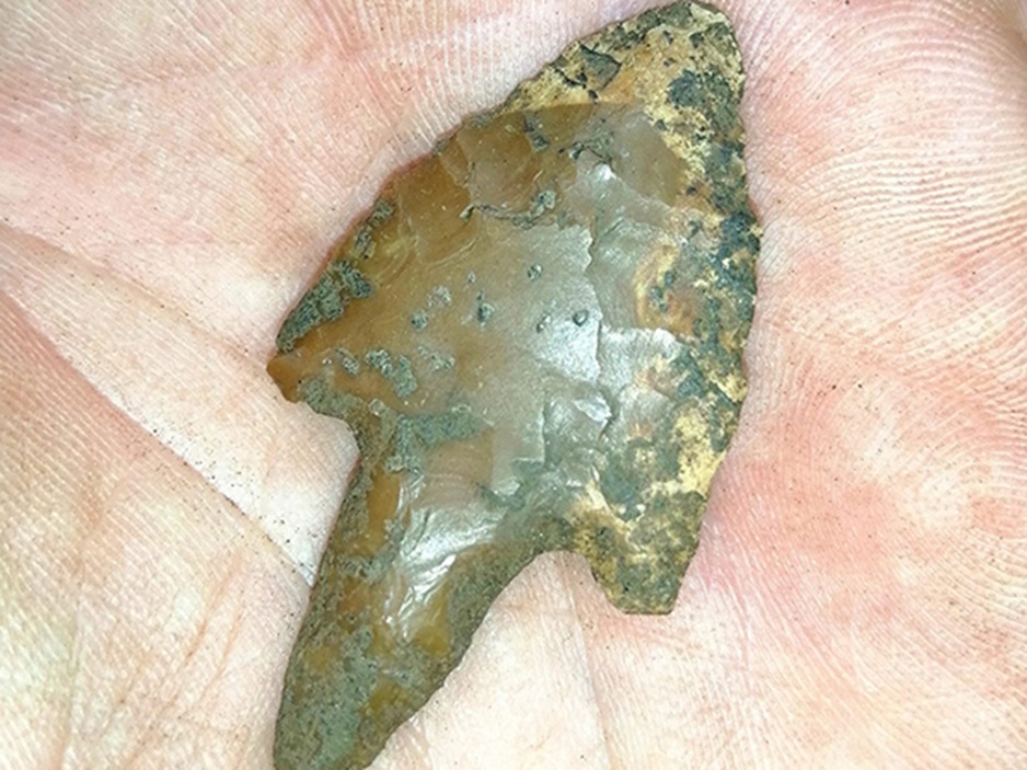 sgonico_carso-triestino_grotta-Tina-Jama_punta-di-freccia_foto-unive