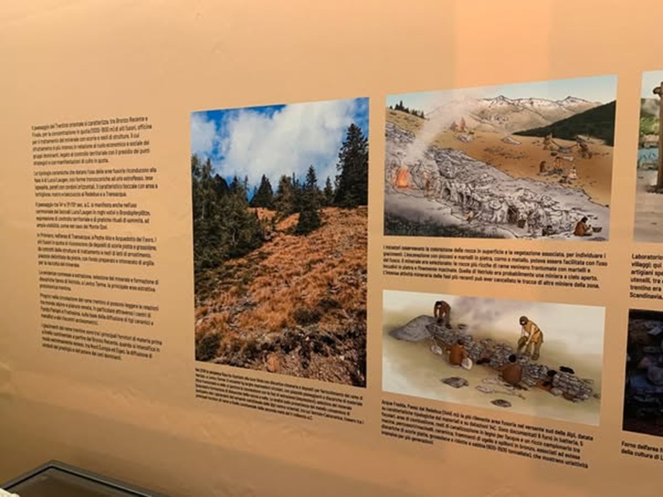 belluno_palazzo-fulcis_mostra-dolomiti-e-pianura_allestimento_1_foto-fondazione-angelini