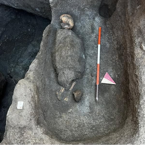 pompei_via-fucci_nuove-scoperte_sepoltura-di-infante-integra_foto-sabap-na