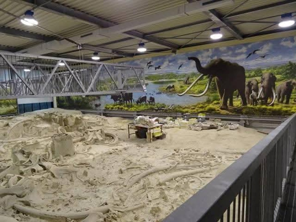 roma_la-polledrara_museo-paleontologico_la-sala_foto-ssabap-roma