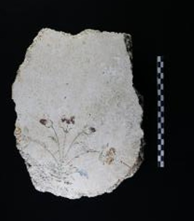 tivoli_villa-adriana_mostra-sotto-il-segno-del-capricorno_frammento-pittorico_foto-ercika-petullà