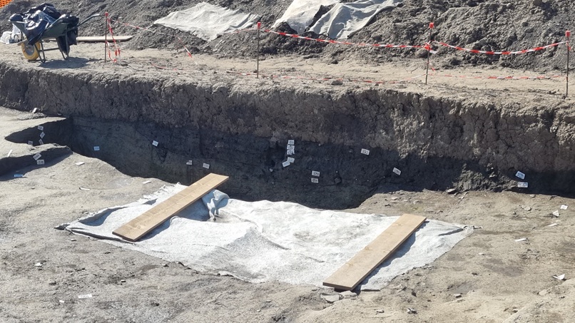 villamarzana_sito-protostorico_campagna-2024_stratigrafia_foto-graziano-tavan