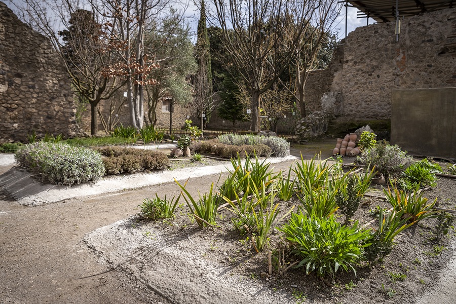 pompei_parco_casa-Orto-Botanico_orto-3_foto-parco-archeologico-pompei