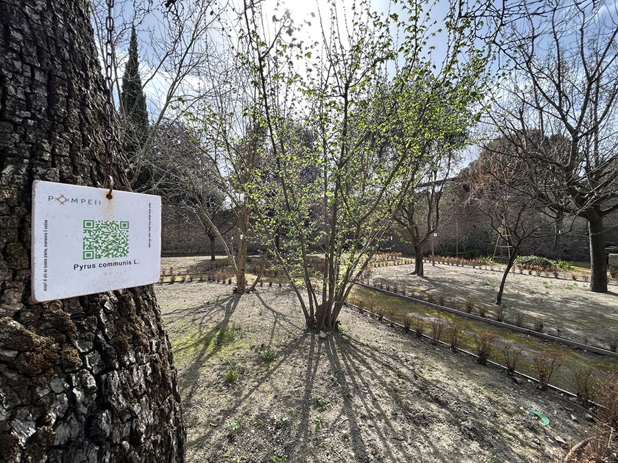 pompei_parco_casa-Orto-Botanico_orto-4_foto-parco-archeologico-pompei