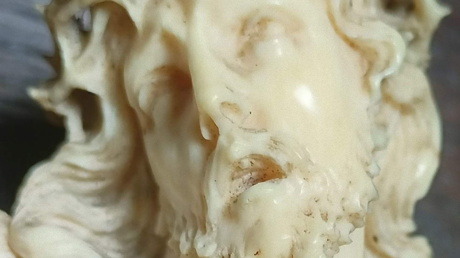 roma_muciv_il-male-in-bocca_foto-muciv